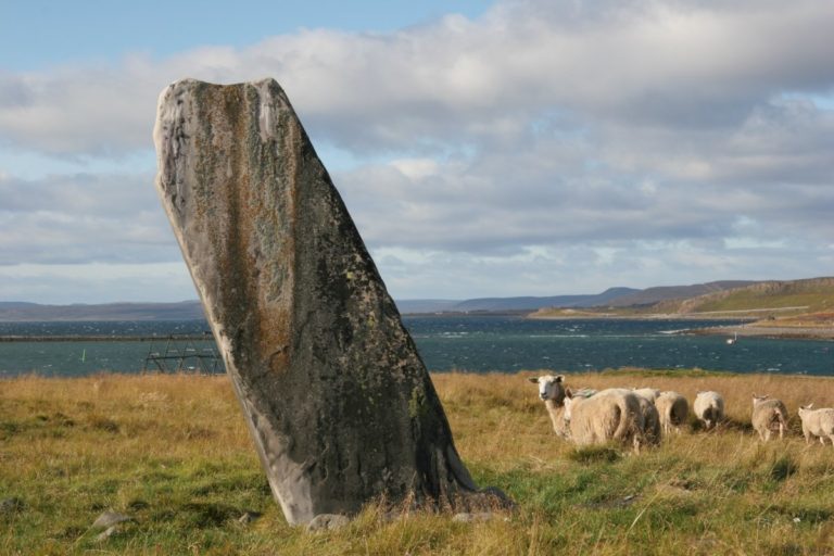 Nearby sheep look on at a sacrificial zone at Mortensnes, Varanger © Varanger Samiske Museum