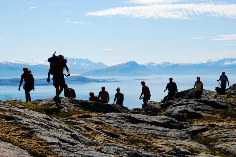 Foraging for tea ingredients © Per Arne Skjelvik