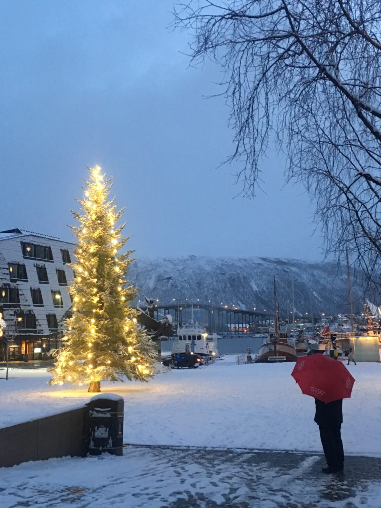 Snow isn’t guaranteed before Christmas, but it’s usually plentiful. © William Copeland