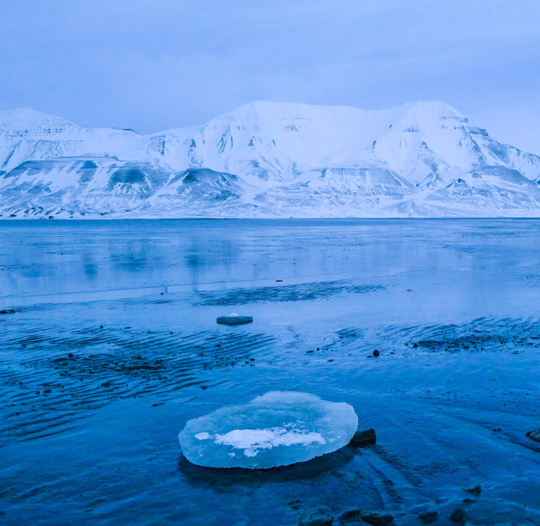 The crystal blue waters of Adventfjorden. You can walk down to the waters/ ice edge and take in the views without venturing far enough away to need a gun © William Copeland