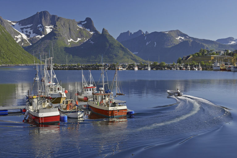 Mefjordvær a sunny day © Bård Løken