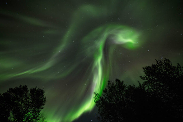 From the Lullefjellet hill in the Skibotndalen valley © William Copeland