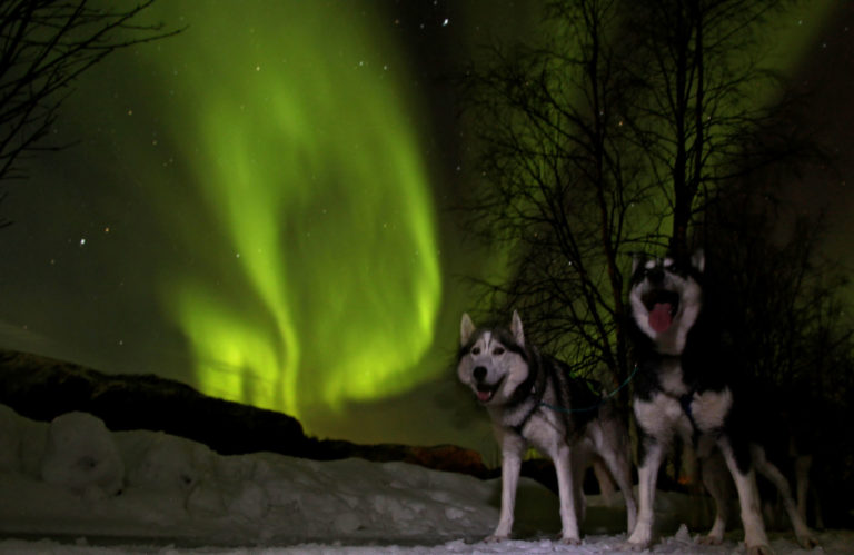 The Northern Lights might show up during the night. This is a very active period before it all ends © Trond Anton Andersen