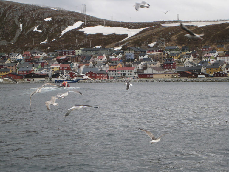 View of the fishing village of Kjøllefjord. The fish factories are found at the sea front. Then the residential houses are placed in the hillside above. All houses have a view, so nobody misses the daily call of the Hurtigruten. The squat houses are reconstruction style, the more elongated are built later © Nina Smedseng
