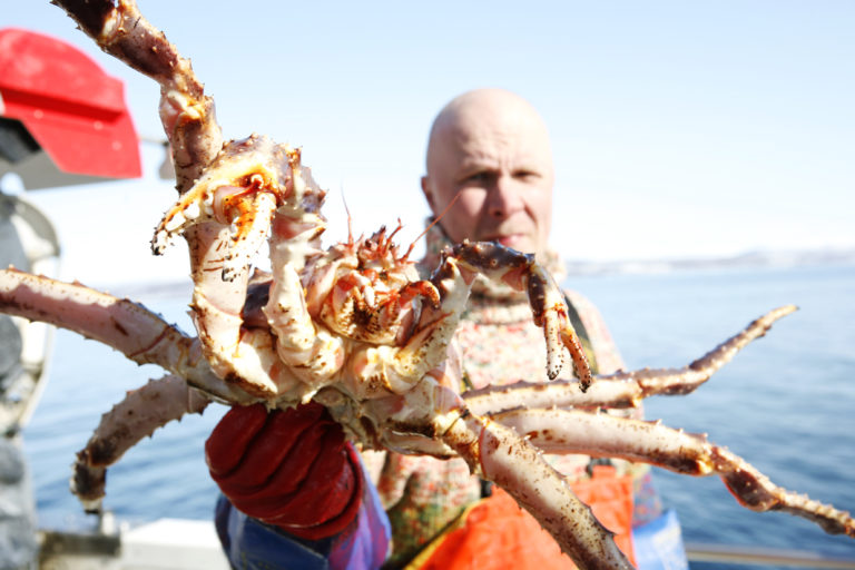 King crab © Varanger Lodge
