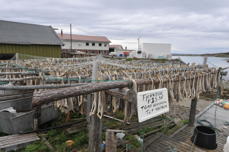 Fish to dry in traditional Bugøynes © Bernt Nilsen, Kirkenes