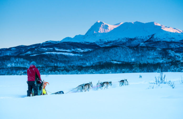Deep into the nature of Central Troms © Arctic Guide & Visit