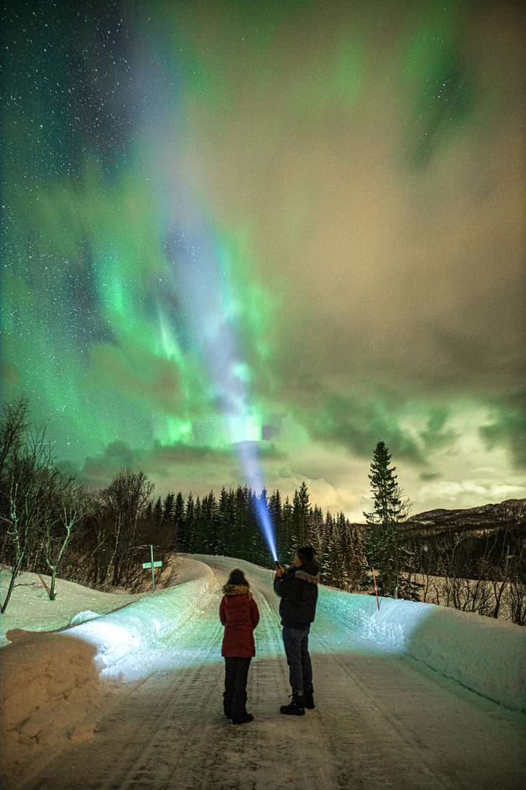 Northern Lights fighting with the clouds © Dyrøy Holiday