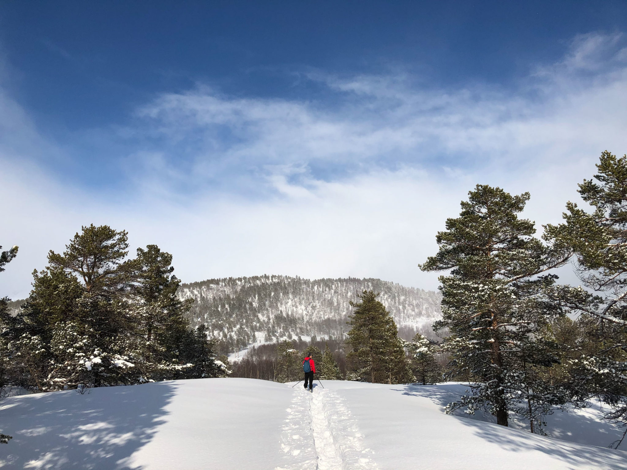 On snoeshoes in Ånderdalen National Park © VSR