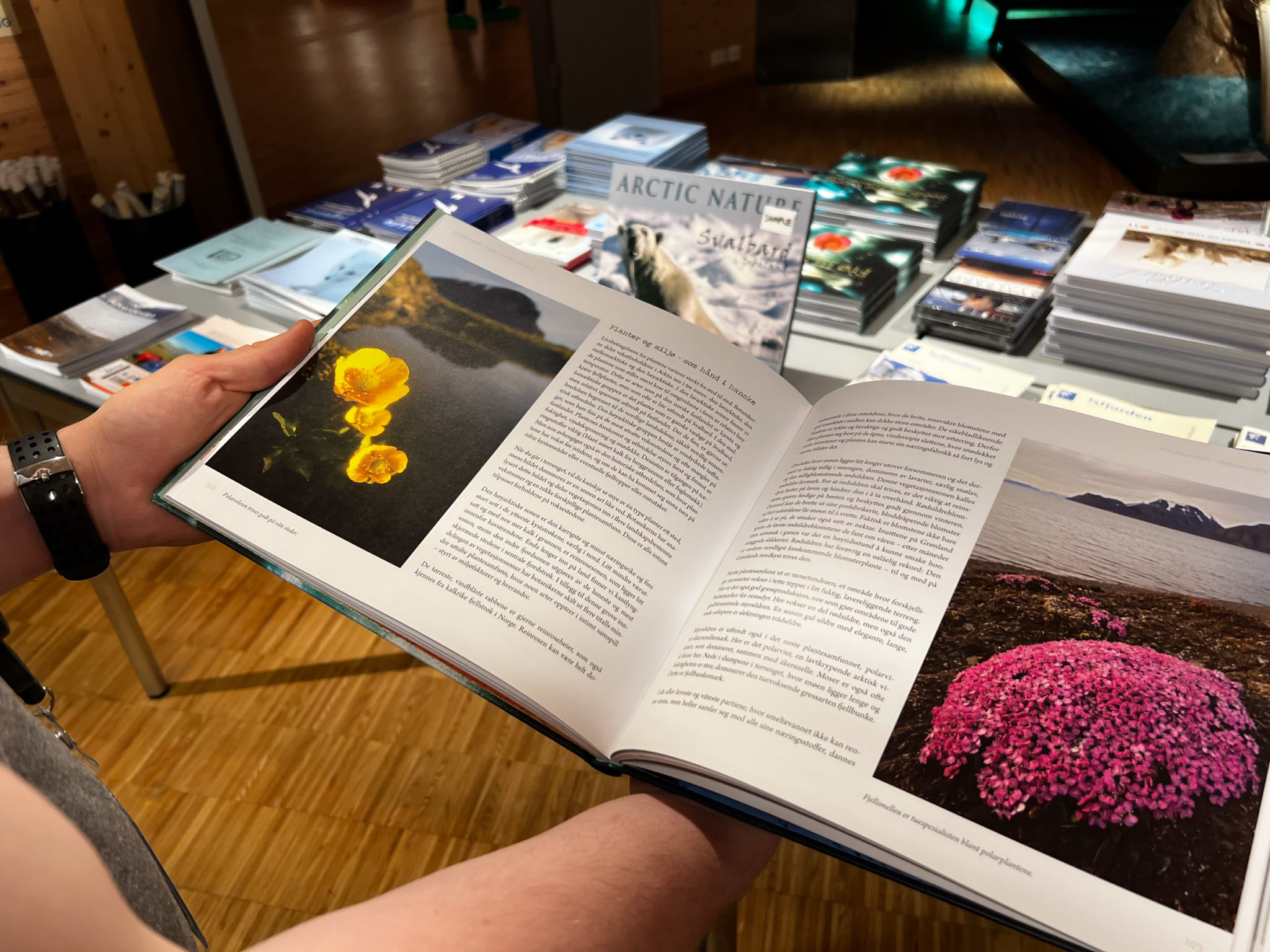 All about the Arctic © Hege Anita Eilertsen/Svalbard museum