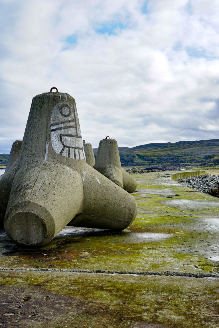 Tetrapods, four-legged creatures © Katelin Pell