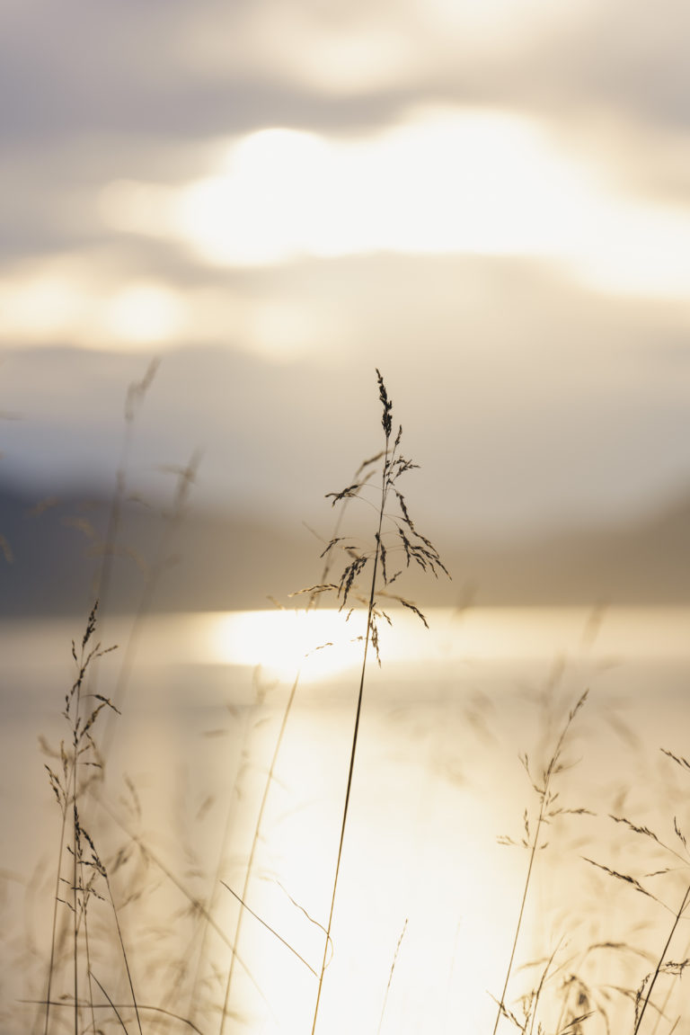 The golden evening light from the midnight sun shines through the clouds. © Marie Nystad