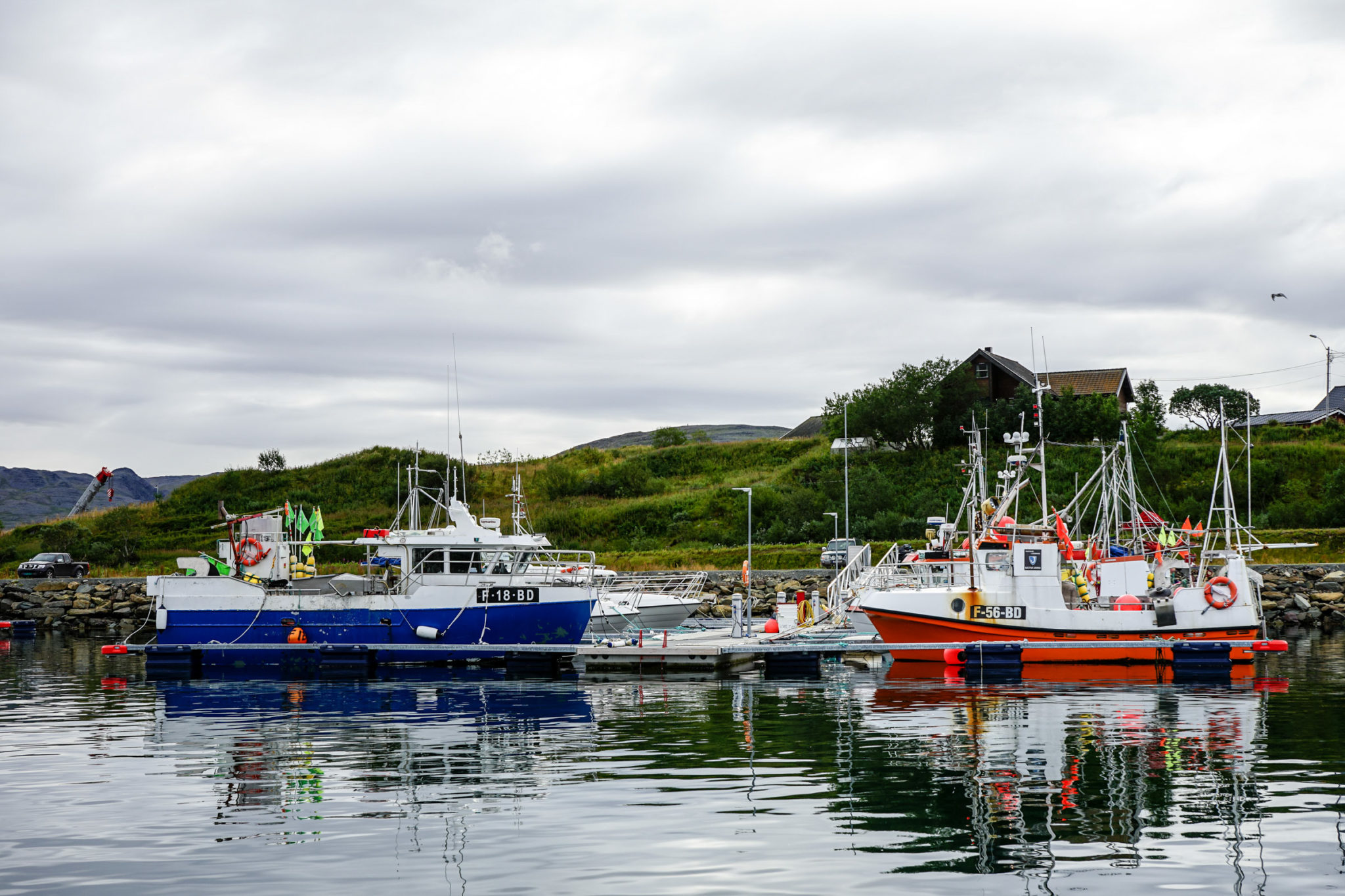 From the harbour of Båtsfjord © Katelin Pell