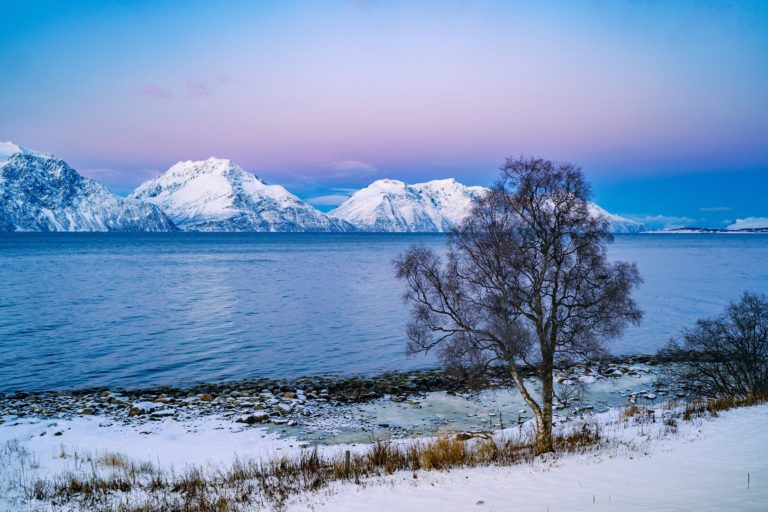Babyrosa? Oder Altrosa? Wintertage haben fünfzig Schattierungen von Rosa © Petr Pavlíček / Visit Lyngenfjord