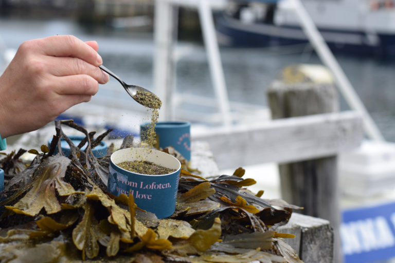 Lofoten SeaWeed. Photo: Mari Bareksten