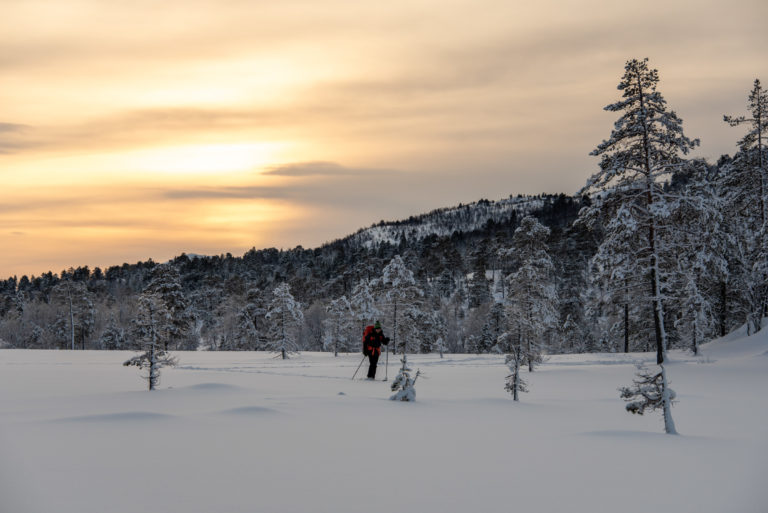 Auf Skiern über gefrorene Moore im Ånderdalen-Nationalpark © Dag Arild Larsen
