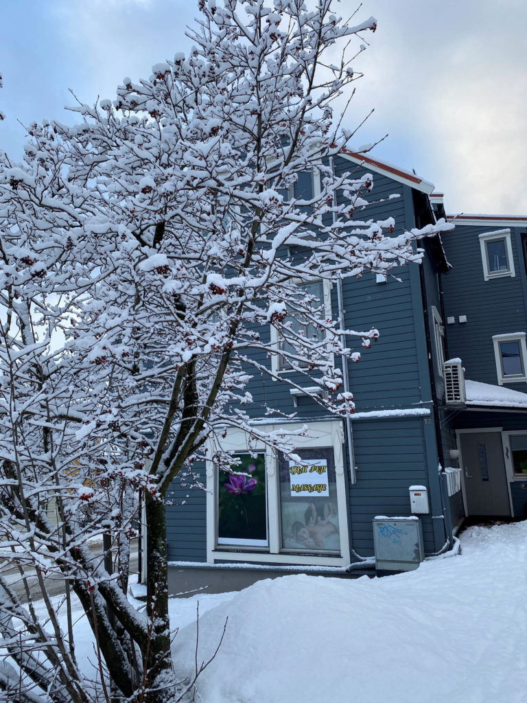 Snow-covered whitebeam and blue house in Nordre Tollbugate. The blue colour is rare but is said to have come from the east through trade with Russia © Knut Hansvold