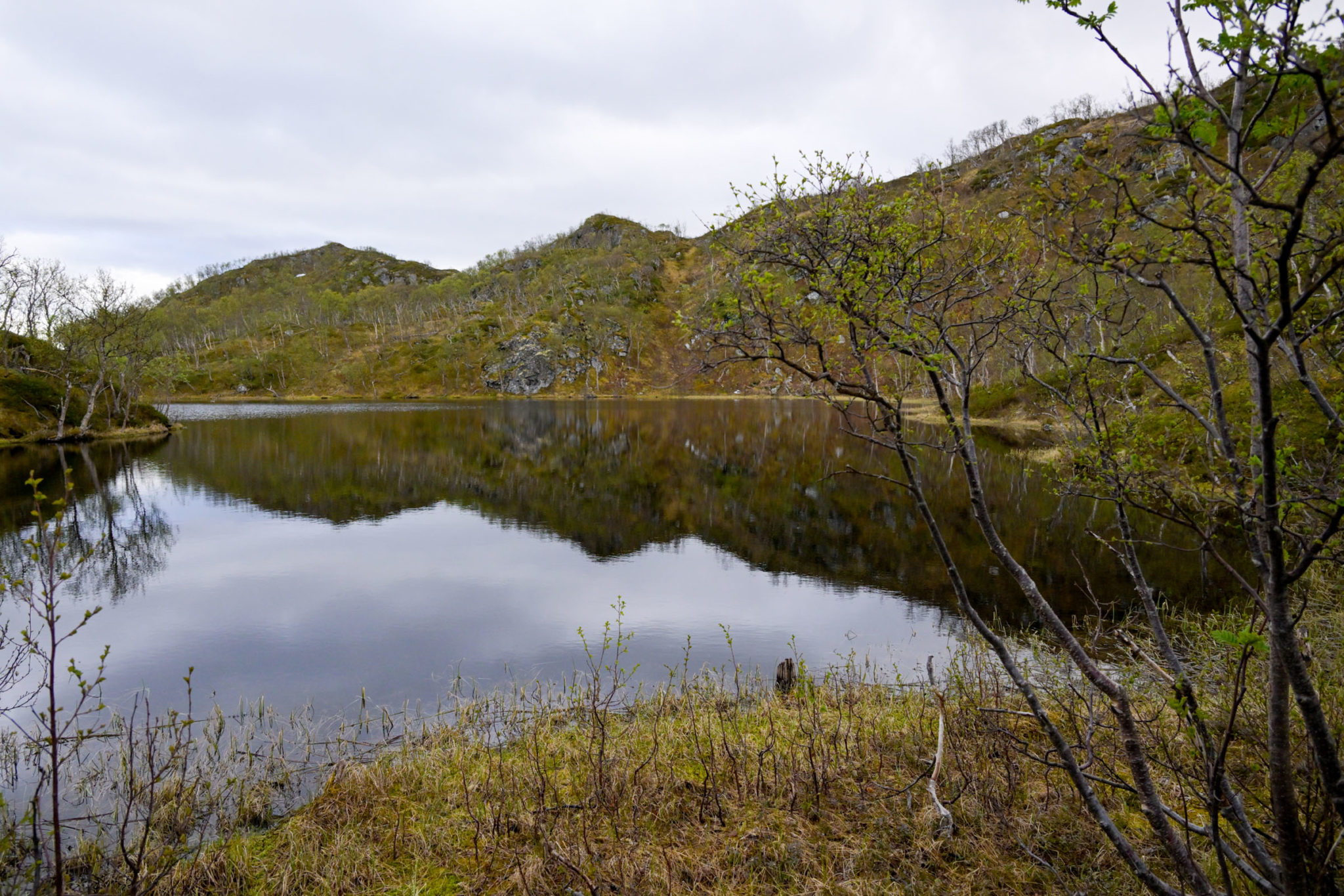 Pond along the trail out to Engnes © Knut Hansvold