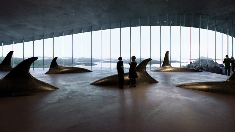 Ill.foto: The Whale AS