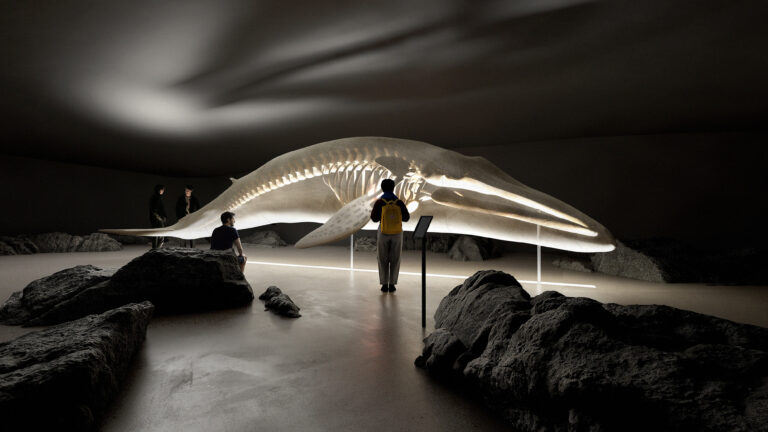 Ill.foto: The Whale AS
