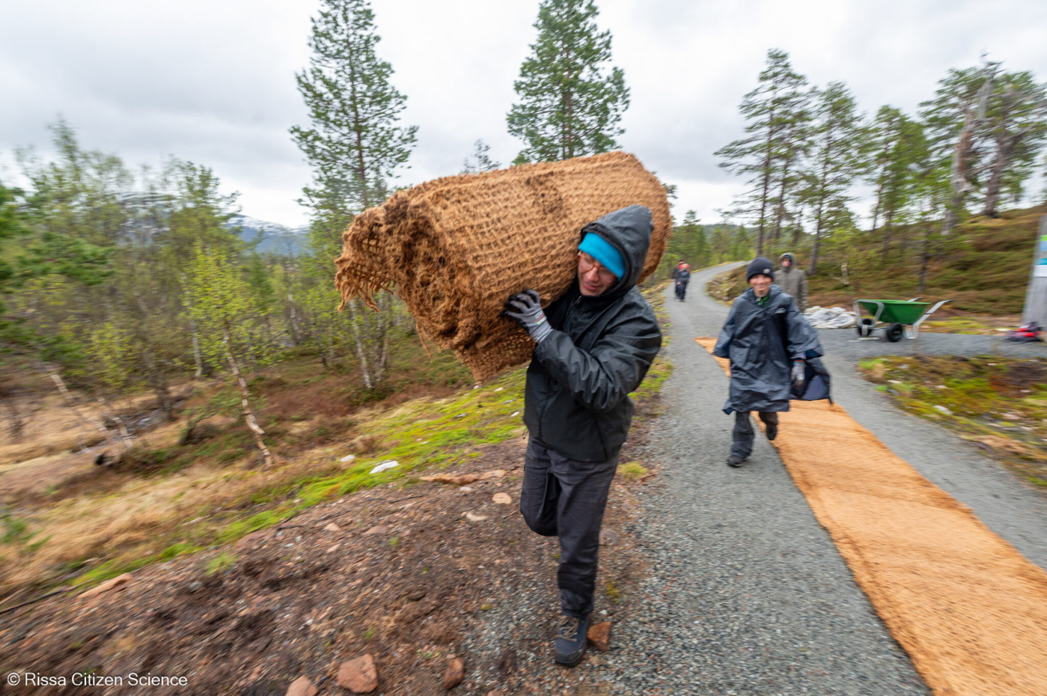 The work keeps you warm in Senja’s fresh summer air © Rissa Citizen Science