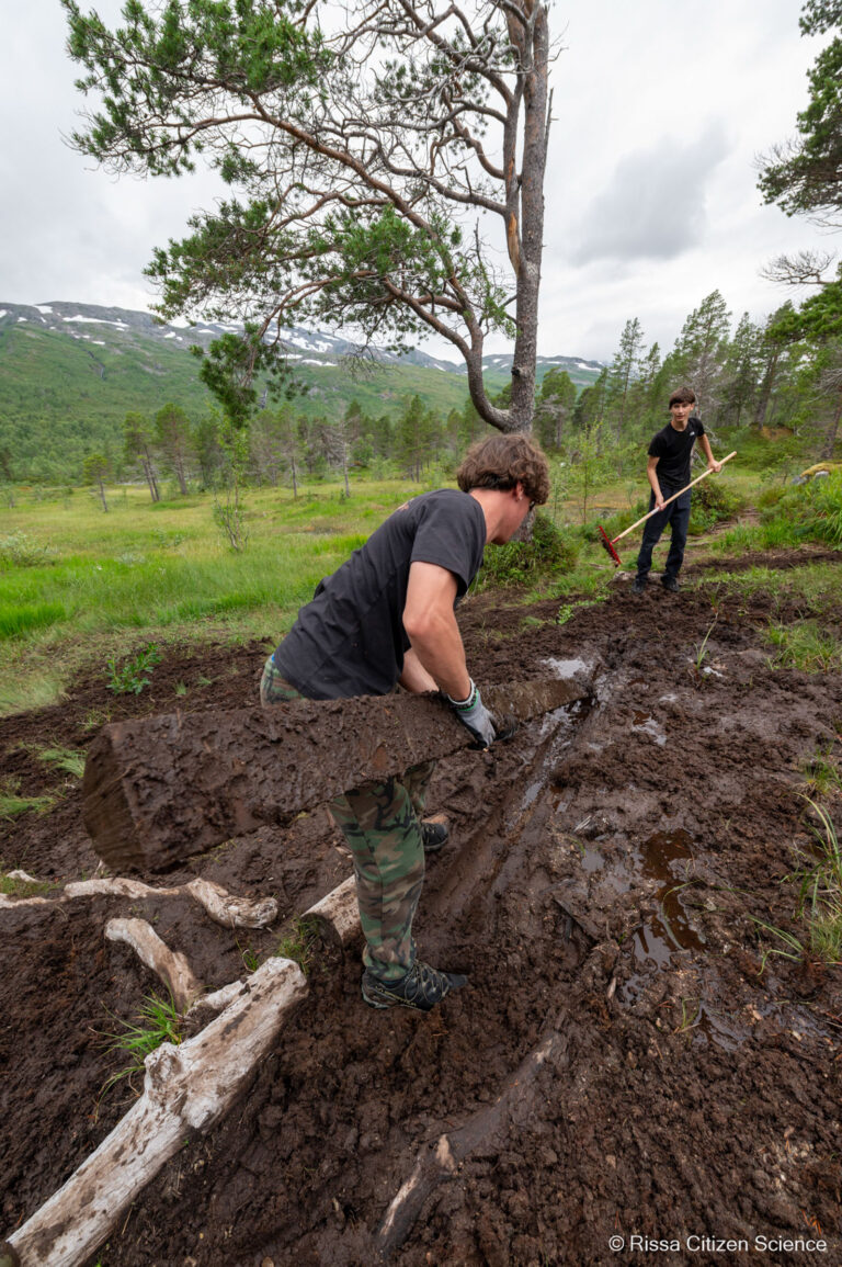 Wet and muddy—boardwalk building in practice © Rissa Citizen Science