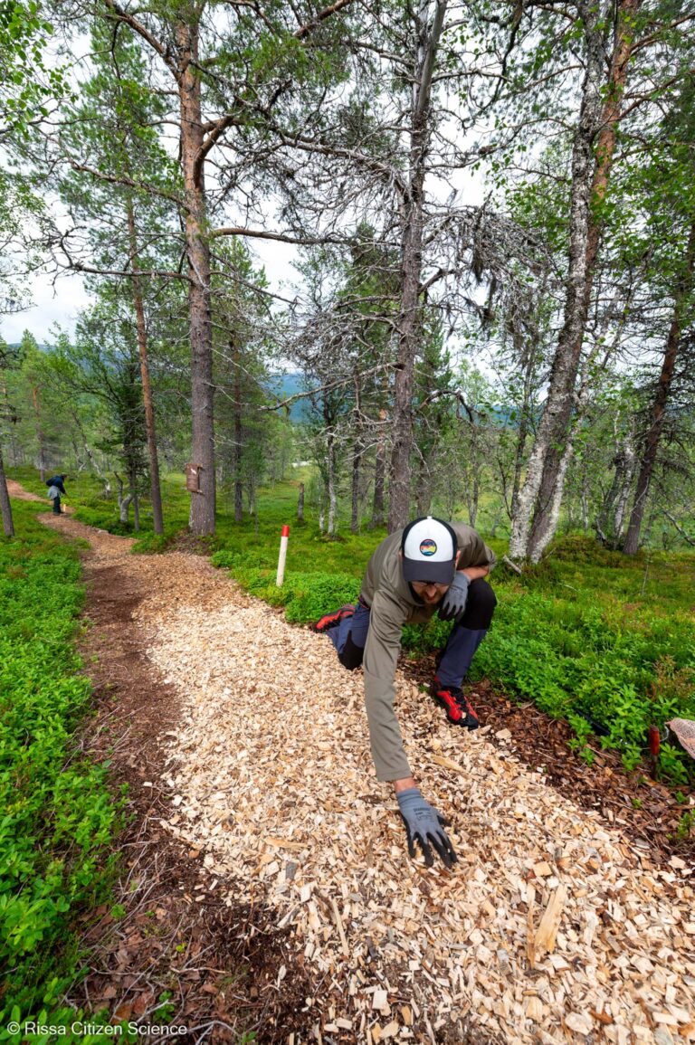 By sticking to trails with wood chips and coir mats, you help protect the terrain from wear and tear © Rissa Citizen Science