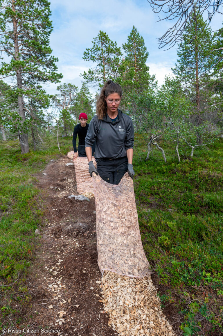 Wood chips protect the trail from wear and tear © Rissa Citizen Science
