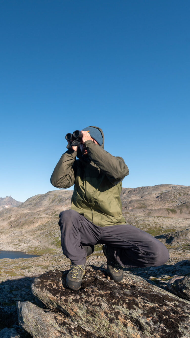 What birds are flying over there? Nature monitoring from a viewpoint © Rissa Citizen Science