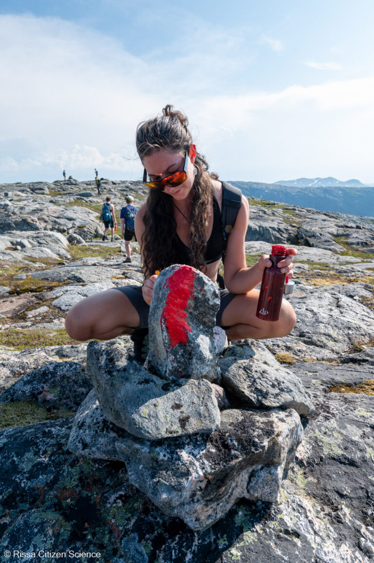 A red T shows the way—The Norwegian Trekking Association is a partner in the A Helping Hand project © Rissa Citizen Science