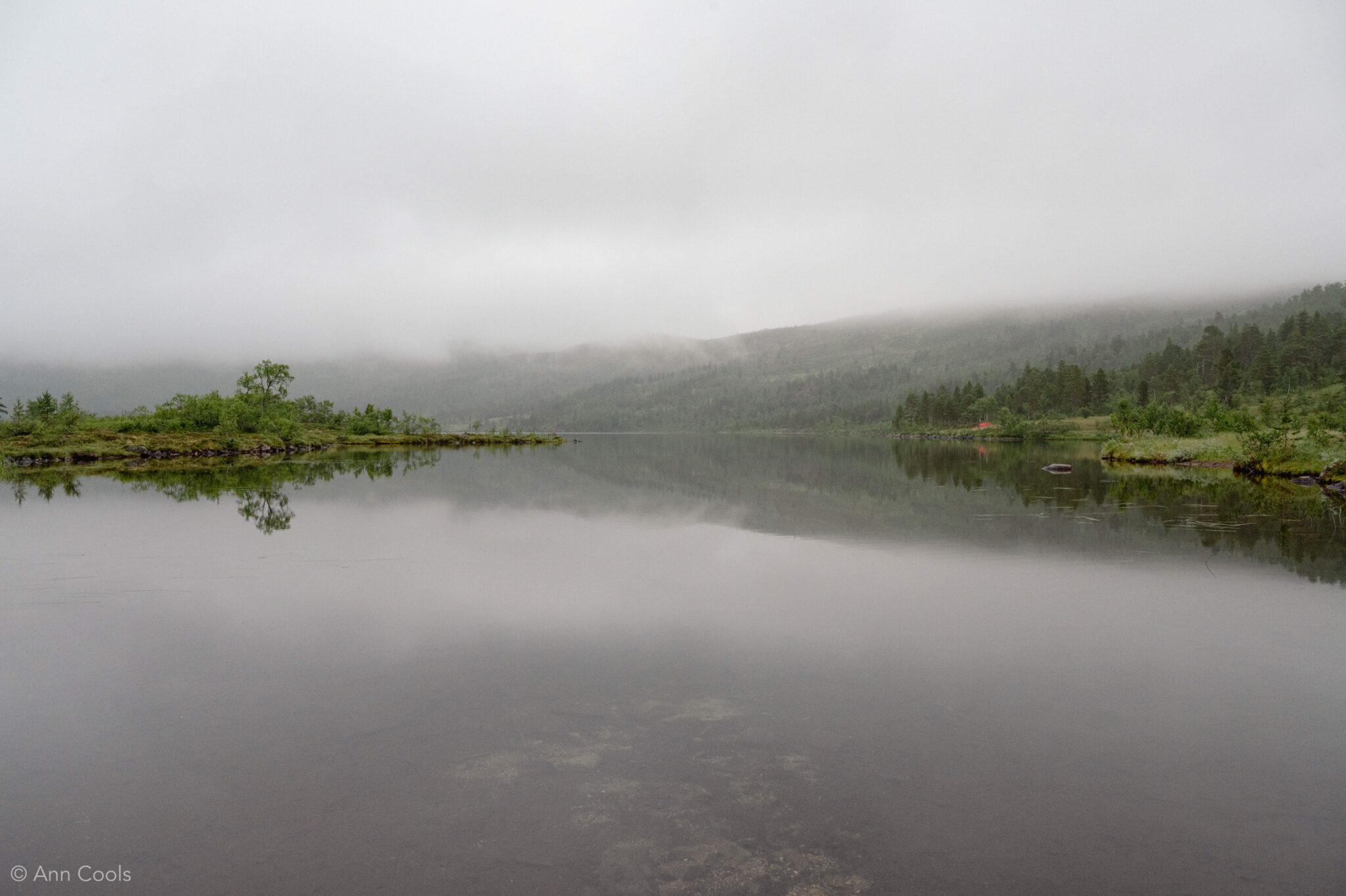 Still waters run deep. Ånderdalen National Park is a place for quiet reflection © Ann Cools