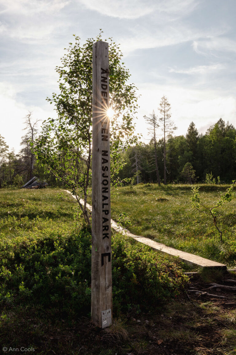 Boardwalk across the bog—a store of carbon we shouldn’t disturb © Ann Cools