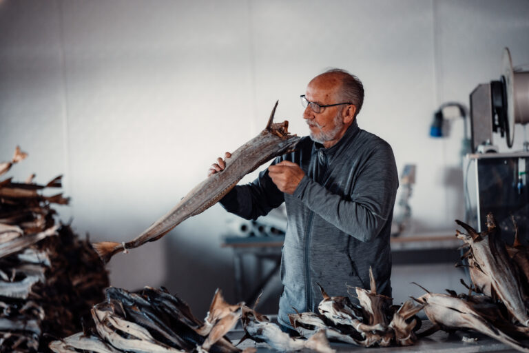 For 30 years, stockfish grader Ansgar Pedersen has sorted the different grades of stockfish on the island of Røst – all of them bearing Italian names. © Kristoffer Lorentzen / The Norwegian Seafood Council