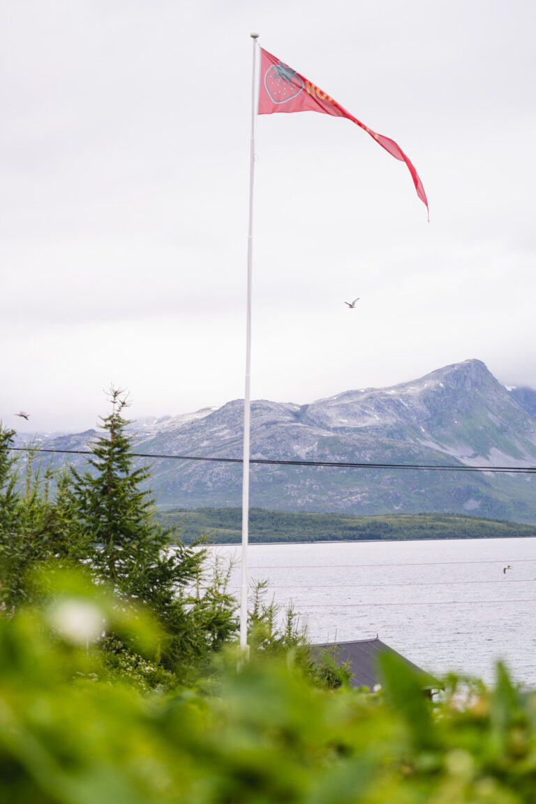 Sweeping views towards the islands from Nordvoll Organic Farm, north of Tromsø © Marie Nystad Helgesen / Arctic Norway