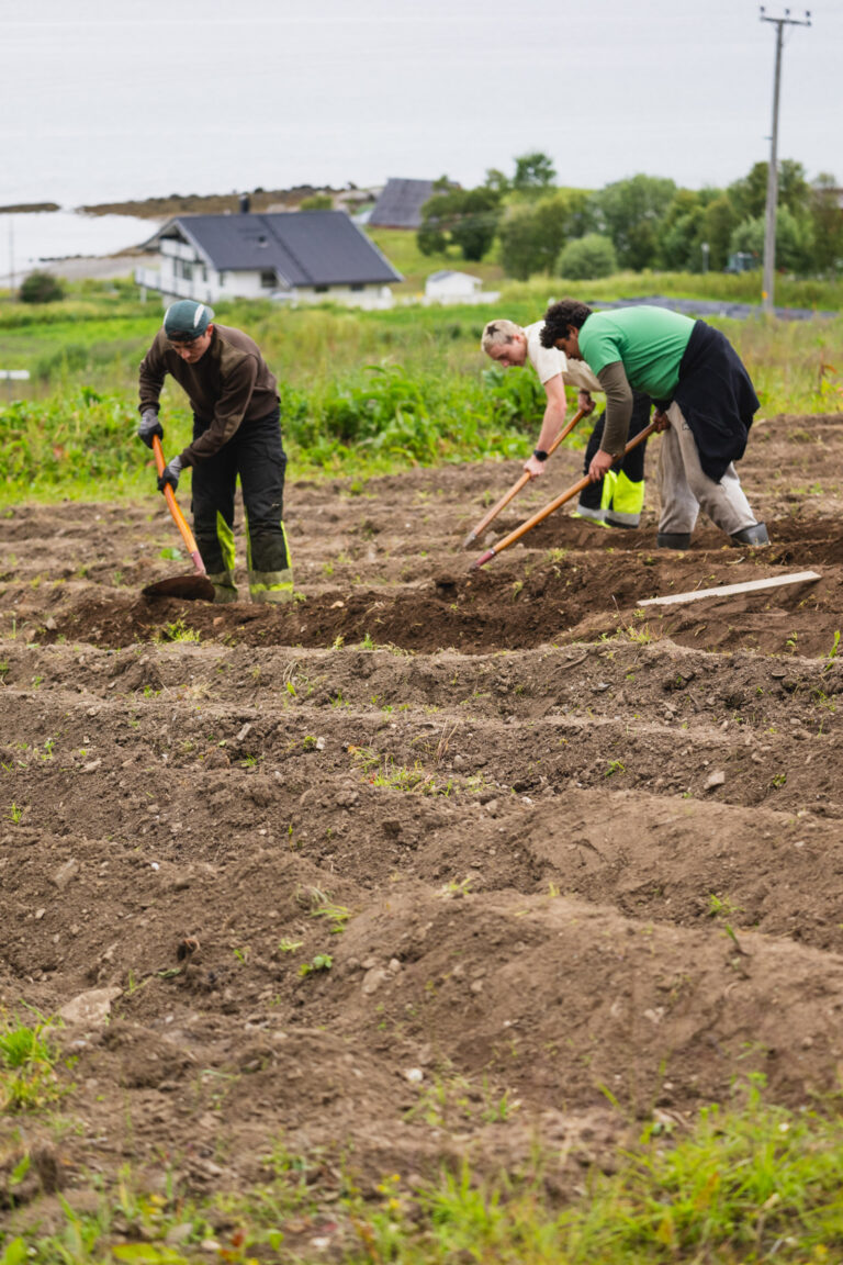 French students hard at work in the field named Città del Vaticano © Marie Nystad Helgesen / Arctic Norway
