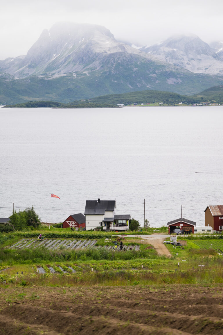 View from the raspberry field across Nordvoll Organic Farm and the Grøtsundet waterway towards Finnkroken village and the peaks of Ringvassøya Island © Marie Nystad Helgesen / Arctic Norway
