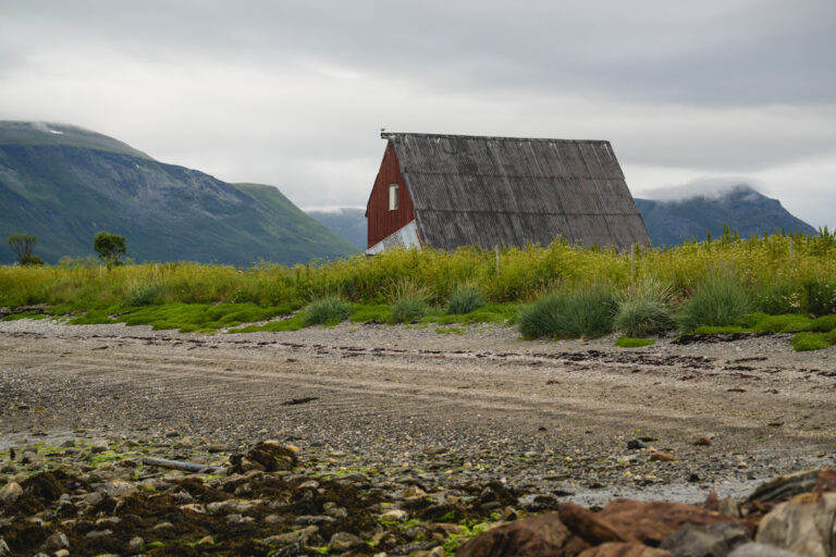 The fields closest to the sea are the first to lose their snow in spring © Marie Nystad Helgesen / Arctic Norway