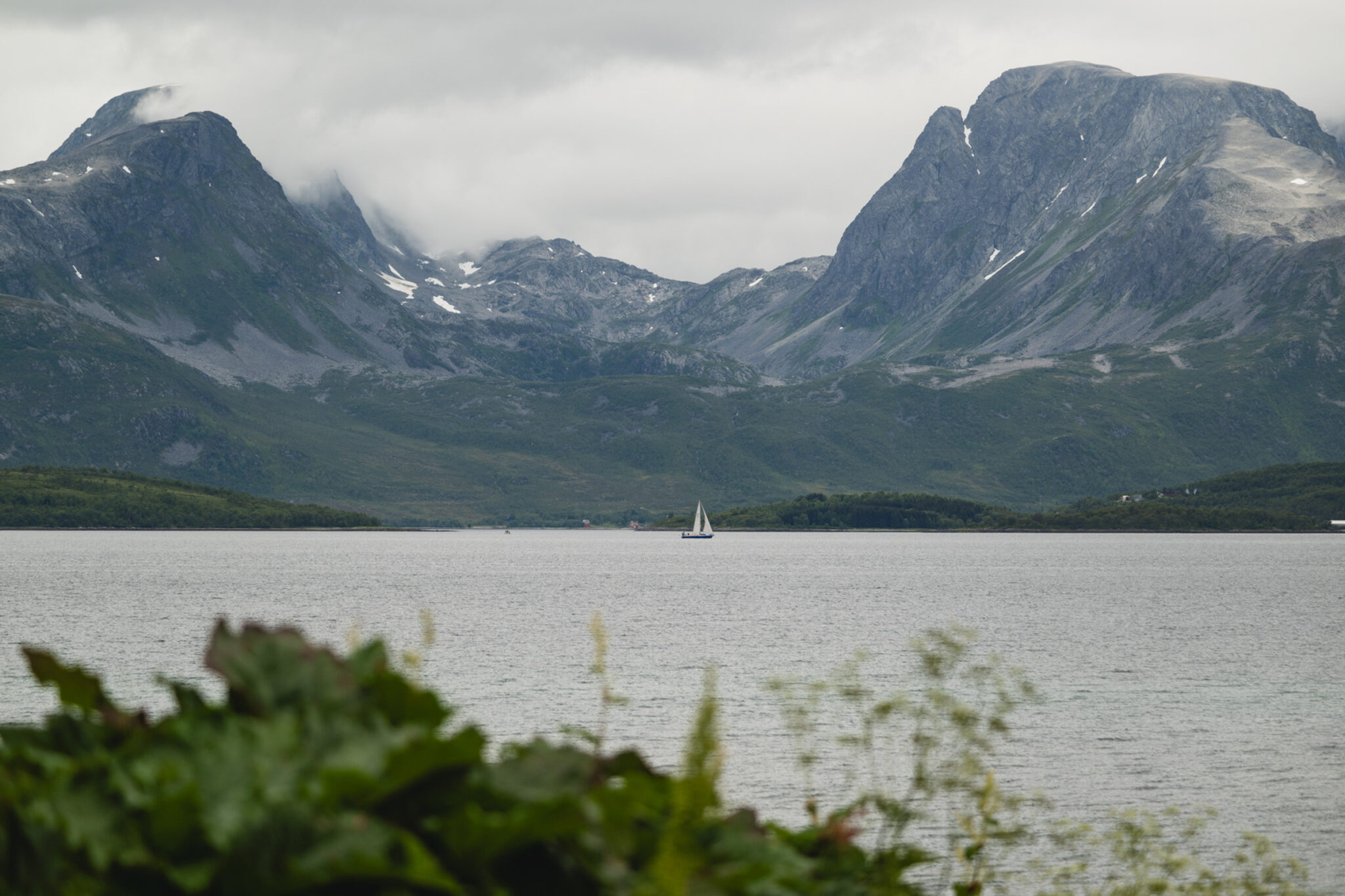 Berries and vegetables at Nordvoll Organic Farm thrive on cool, grey July days © Marie Nystad Helgesen / Arctic Norway