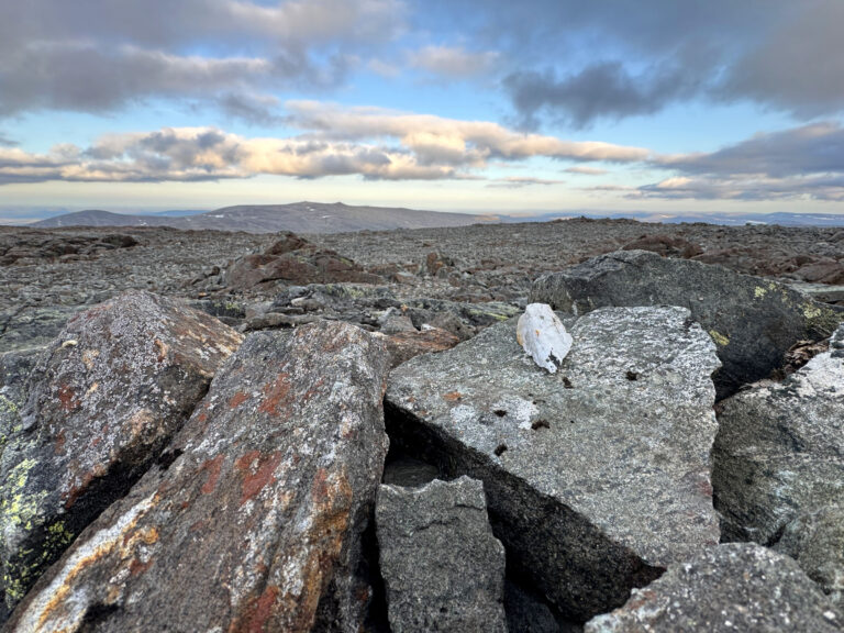 This is Halti's second-highest peak: no cairns, just a random white stone marking the summit at 1,331 metres above sea level, only 40 metres from Finland's highest point. © Pauliina Toivanen