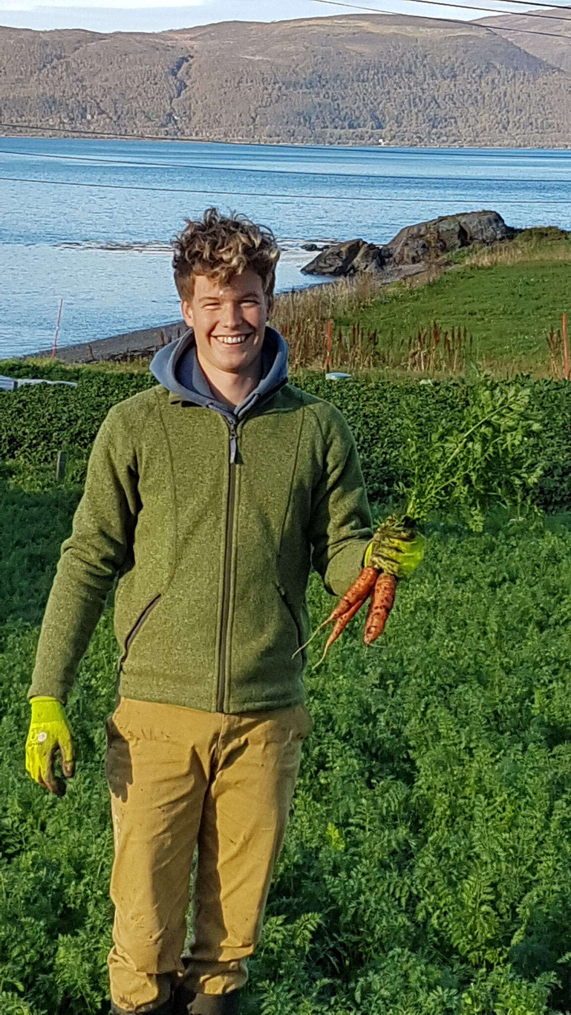 The carrots at Nordvoll are crisp and sweet © Roger Lockertsen / Nordvoll økologiske gard
